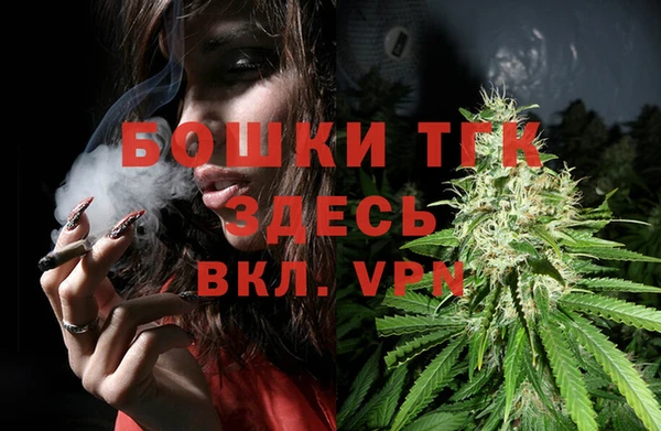 гидра Богородск