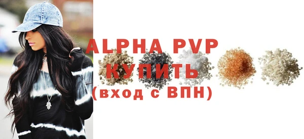 гидра Богородск