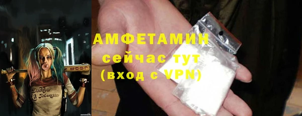 гидра Богородск