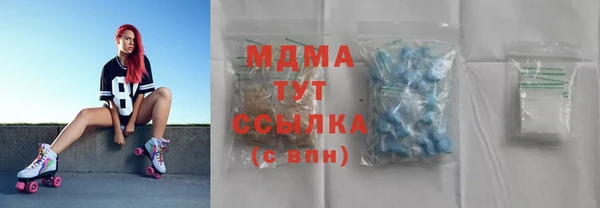 гидра Богородск