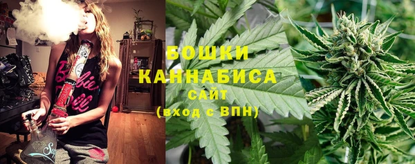 гидра Богородск