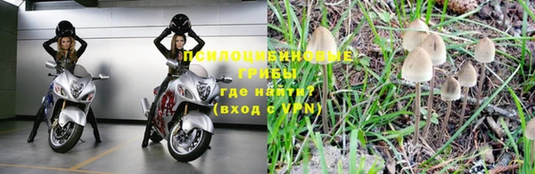 не бодяженный Белокуриха