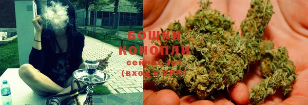 гидра Богородск