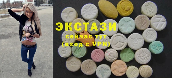 гидра Богородск