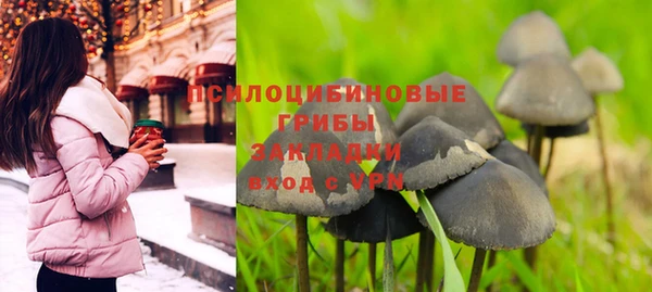 гидра Богородск