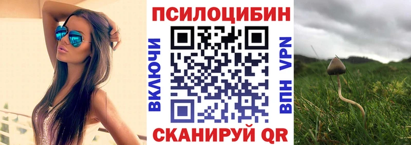 где найти   Моздок  кракен сайт  Псилоцибиновые грибы Magic Shrooms 